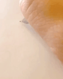 중국 고대 한자 ㄷㄷ