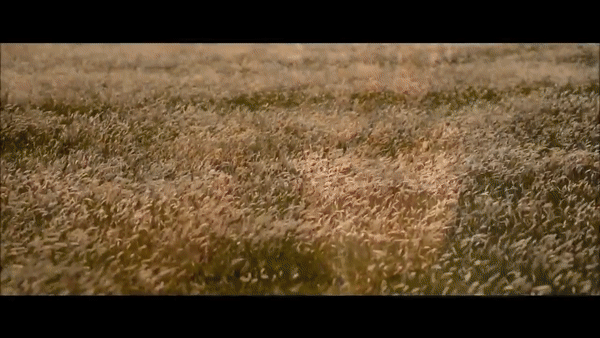 일본 만화 킹덤 최근 실사화.gif