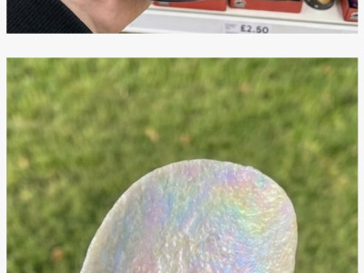 프링글스 영국 신세품