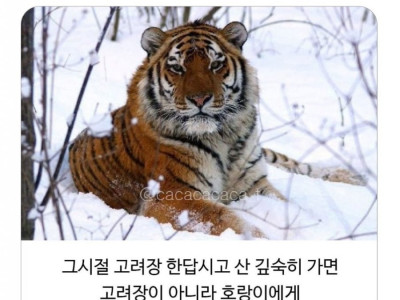 고려장이 구라인 이유