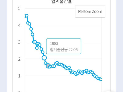한국 인구 문제의 가장 큰 패착