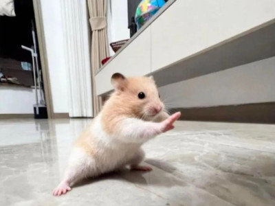 자, 시작해볼까?