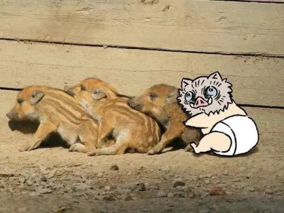 중소에서 한순간에 등용된 썰