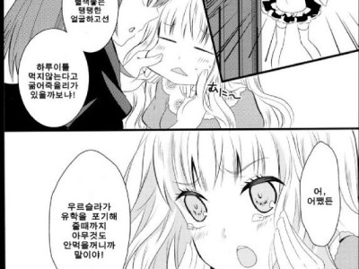 메이드와 아가씨 만화