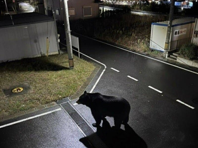 일본 가정집에서 찍은 저녁 사진