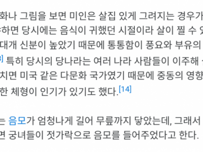 양귀비 실제 외모 묘사중 충격적인 부분