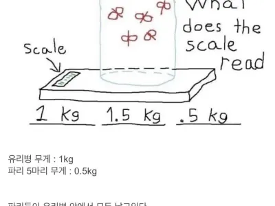 해외에서 논쟁이였던 파리 문제.