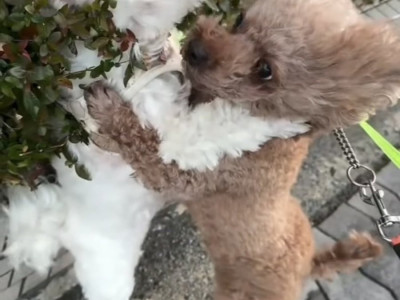 우리 지금 싸우는거 아니에요~