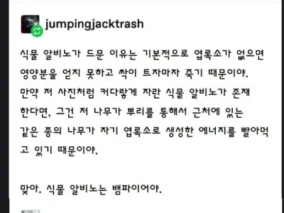 의외로 식물도 알비노가 존재한다.jpg