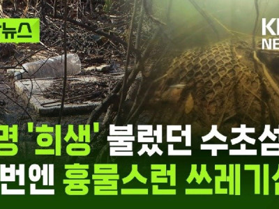 6명 희생됐던 의암호 수초섬, 이번엔 흉물스런 쓰레기섬 오명