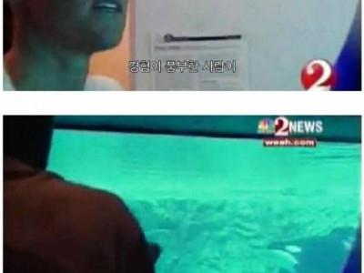        범고래 습격 사건