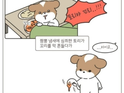 댕댕이 설거지 만화