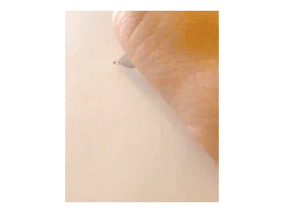 중국 고대 한자 ㄷㄷ