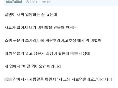 골댕이 입양하는 꿈을 꾼 사람