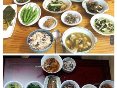 나이를 먹으니 나물이 좋아졌다는 개드립유저.jpg