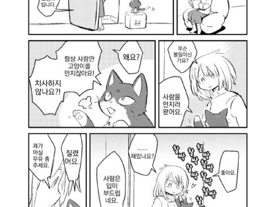 아침을 여는 고양이 만화