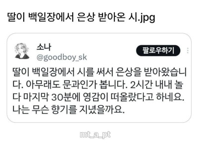 딸아, 그냥 문과로 가거라