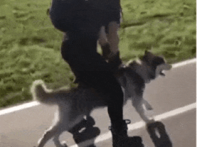 썰매 대신 이거라도 gif