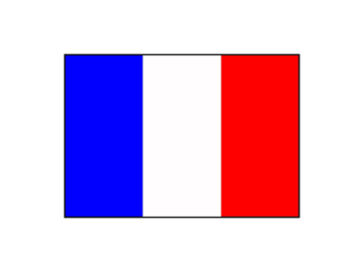 한국전쟁 당시 프랑스군의 활약