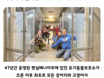 미국에서 일어난 크리스마스의 기적