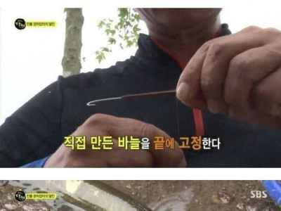 자연산 장어가 좋은 이유