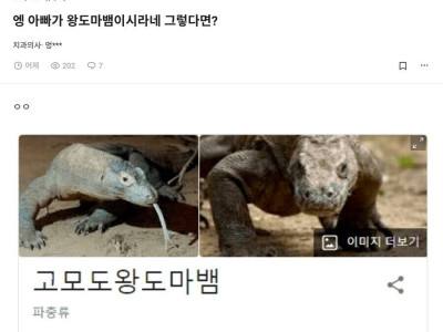 엥? 쟤네 아빠가 왕도마뱀이라네? 그러면...?