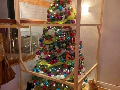 고양이 있는 집 크리스마스 트리