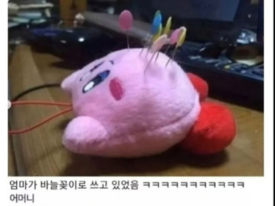 어머니 커비는 바늘집이 아니에요
