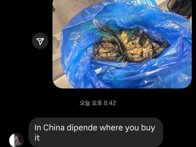 우리나라가 굴 가격이 진짜 깡패인가보구나