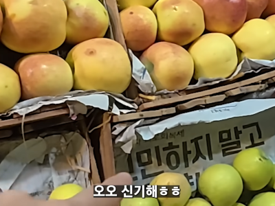 파키스탄까지 점령한 K 신문지