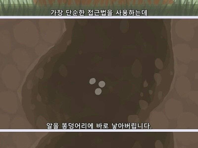 고마운 쇠똥구리