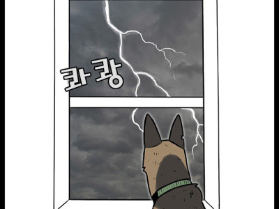 PTSD에 시달리는 퇴역 군견 만화.manhwa