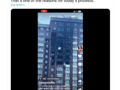 신장 자치구에서 시위가 발생한 이유