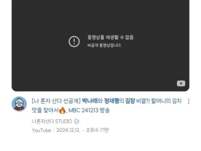 나혼산 유튜브 클립이 계속 삭제되는 이유