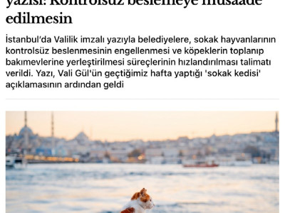 ???는 '고양이는 쥐를 잡지 않는다'고 말했습니다.