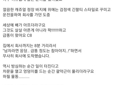 펌)출근하면서 똥싼 썰.ssul