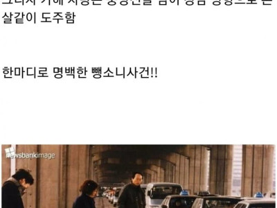        1993년 일가족 뺑소니 사건