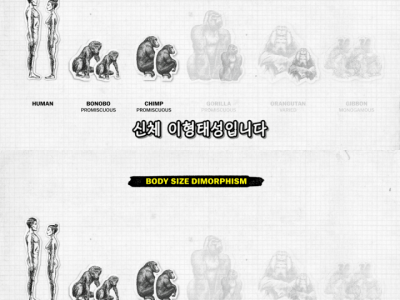 인간이 난교하도록 진화했다는 증거