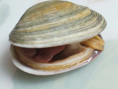 기묘한 일본의 고전 국물 설화