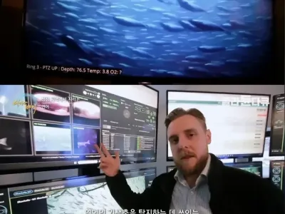 요즘 연어 에서 기생충 걱정이 사라진 이유