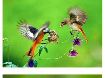 아름답고 추악한 사진