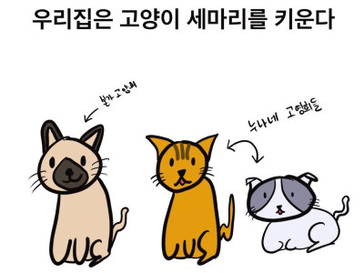 고양이 잃어버리는 manhwa