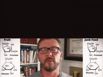 설탕과 과당의 차이점