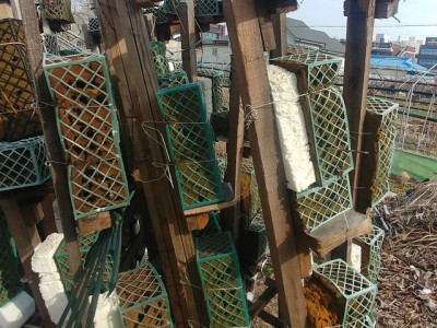 인터넷은 모든걸 알고 있다 한국편