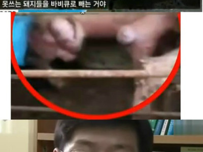 통돼지 바베큐의 비밀