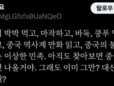 중국 문화를 좋아하면서 왜 중국 욕함?