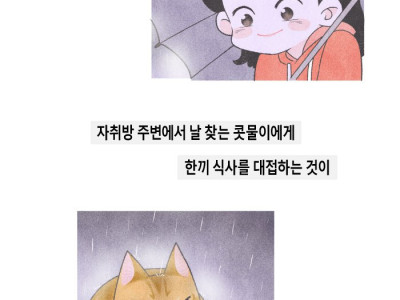 모르는 고양이가 밥 달라고 쫓아오는 만화