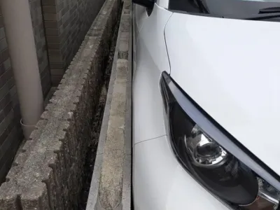 주차의 달인들.