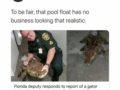 창고에 악어가 있다고 신고 들어옴