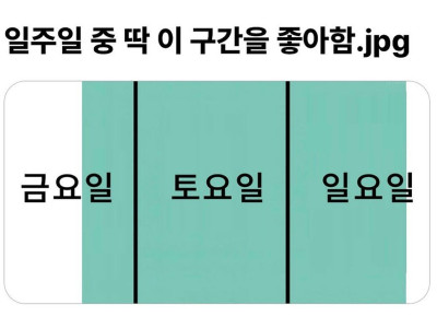 일주일 중 딱 이 구간을 좋아함
